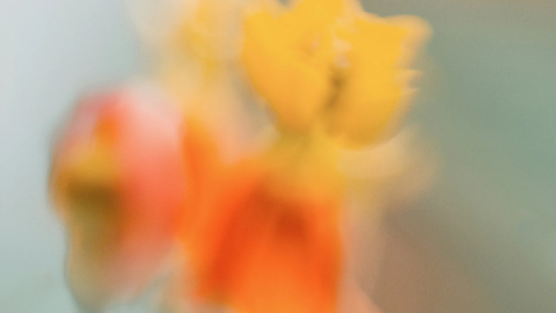 Hello world!のジャケット